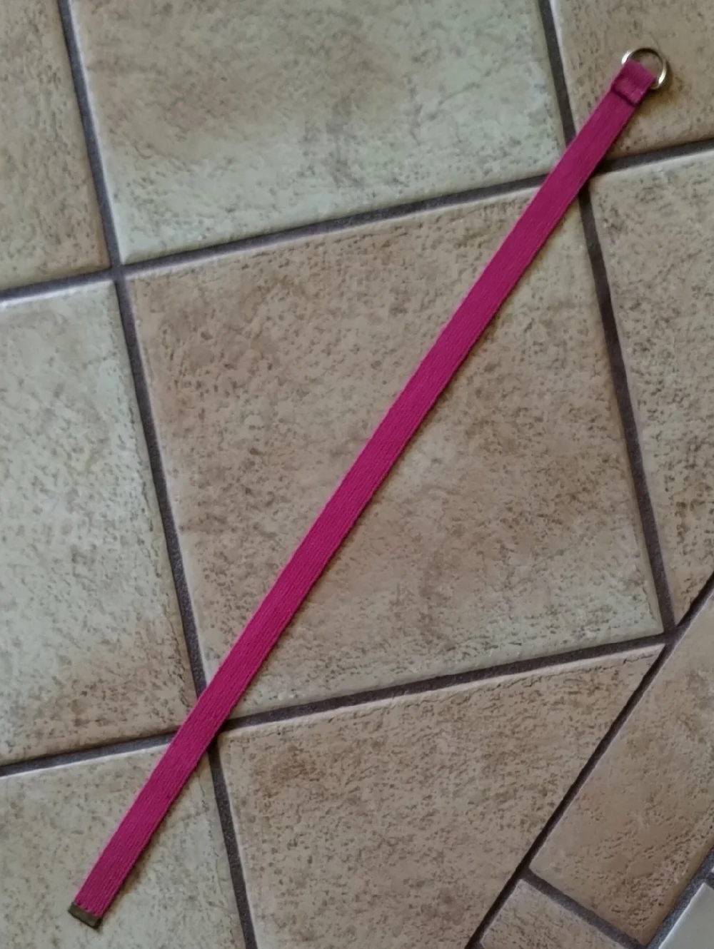 Pink Web Belt